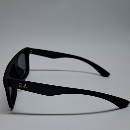 Rayban Wayfarer Single Lens - Polarized